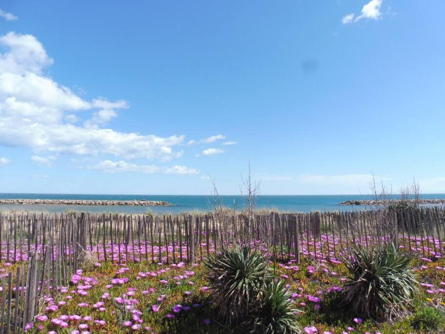 Le Petit Coin De Paradis. Valras-Plage Exterior foto